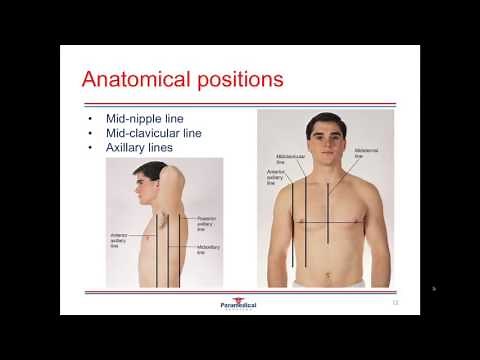 Medical Terminology Video