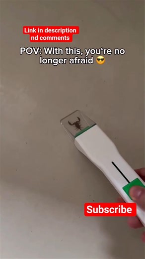 Bug Catcher Tool | Contactless Spider & Cockroach Catcher #shorts #pestcontrol #homegadget #smartbug