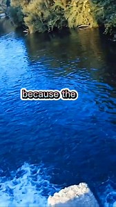 Fishing Joke 10 jokes fishingjokes humor