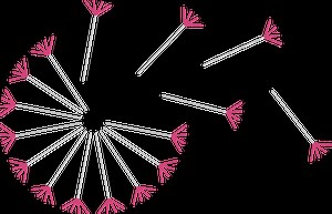 I want to plan my impact | Fast Track Impact