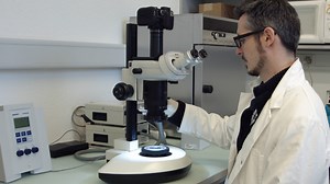 Intrathoracic Injection for the Study of Adult Zebrafish Heart