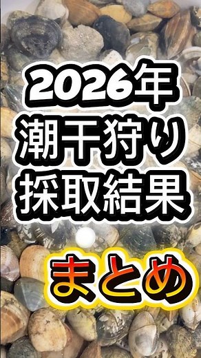 【まとめ】2026年愛知県各潮干狩り場の採取結果