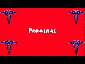 Pronounce Medical Words ― Proximal
