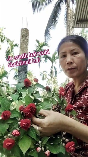 koi kush v bole santh bonna sikho#motivtionalshorts #tomychannel