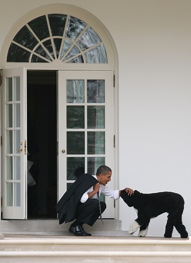 President Barack Obama Remembers His Strongest Ally in Washington: His Dog, Bo