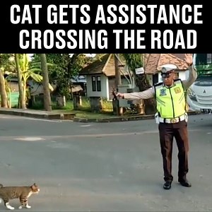 Certain people get special privileges 😂😂 | LADbible