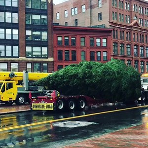 52K views · 556 reactions | The tree has arrived in Monument Square! Portland Downtown  | City of Portland, Maine | Facebook