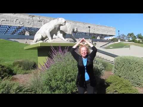 Lower Your Blood Pressure and Ground Your Energies with Donna Eden!