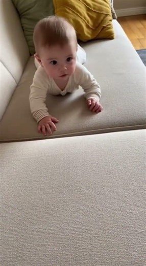 The REMOTE CONTROL War Between Babies and Puppies!