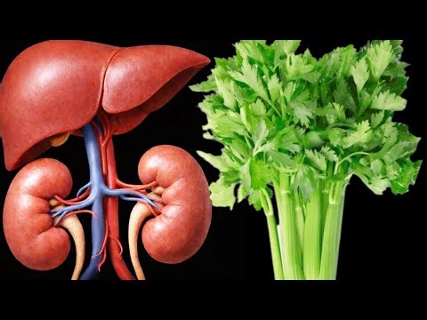 Natural powerhouse: Kidneys & liver regenerate in 3 days! Shocking results!