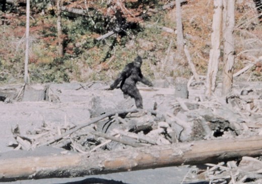 Finding Bigfoot by Mirandallydia | Magicdadjokes, Fae.Ruin