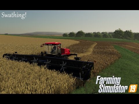 Farming Simulator 19 l Swathing with the new swather!