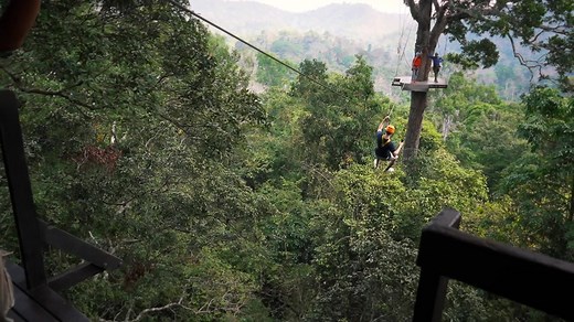 Flight of the Gibbon Bangkok/Pattaya is on one the highest rated adventures in Thailand. Prices included pickup/dropoff from Bangkok or Pattaya City, lunch and a tram | Flight of the Gibbon