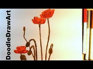 How To Draw Poppies for Remembrance/Veterans Day - Art Tutorial - Poppy HD - Crayons