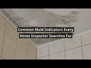 How Home Inspectors Spot Mold: Key Indicators You Must Know