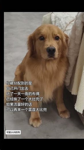 Master the Mistake-Making Bucket for Traffic Gold