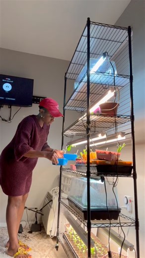 Many gardeners own grow lights, yet still struggle with weak, leggy seedlings. The problem can be how the grow light is being used. In this video, I break down the most common grow light mistakes gardeners make and show you how to correct them so your seedlings grow strong, stable, and ready for the outdoors. If you’re starting seeds indoors this season, this is information you need. #growlights #seedstarting #gardening | YAJE's Garden