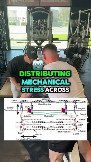 Keenanrmalloy on TikTok