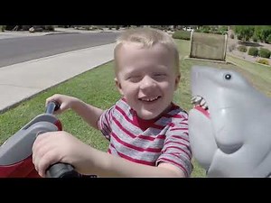 Killer Bees the Second Swarm! Jaws Shark and Cole get Chased by Bee Swarm.