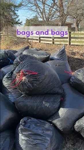 Why I Collect Leaves: The Easiest Free Garden Resource