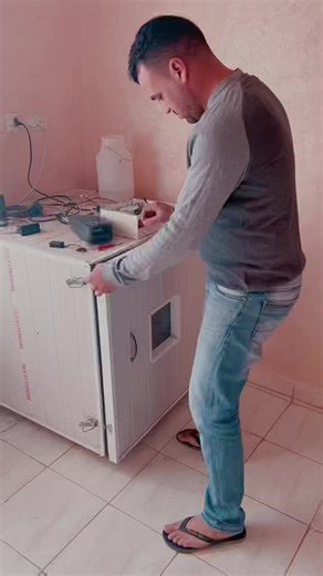 Caring for Baby Chicks: A Step-by-Step Guide