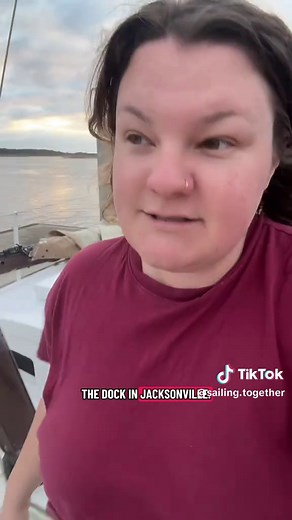 Count how many times we said “Frustrated” in this video 😂😂 I PROMISE boat life is not always like this. Most of the time we are just hanging out and enjoying ourselves! But I try to share honestly about what’s going on… And right now, this is it! Snowstorms, getting stuck in ice, tornado warnings, and engine problems! #sailing #liveaboardlife #lifeonthewater #familytravel #alternativelifestyle