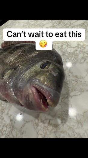 Sheepshead Fish Recipe with Dan-O's Seasoning