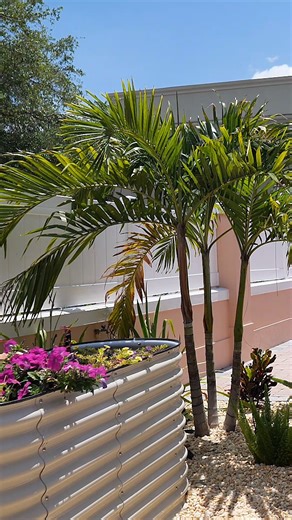 The brand new sensory garden at the Winter Haven Library is officially open! Check out some highlights from the ribbon cutting ceremony, and stop by to experience all the space has to offer. | City of Winter Haven, FL