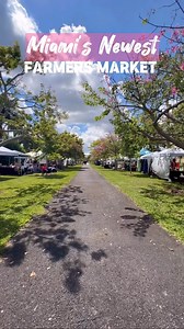 4.2K views · 65 reactions | Join us at #ZooMiami for our monthly Farmers' Market! Swing by the promenade before you explore the zoo every first Saturday & Sunday of the month, from 10 a.m. to 5 p.m. Fresh produce, local goodies, & more await! : @fashion.eat.travel + @miamifriendors | Zoo Miami | Facebook