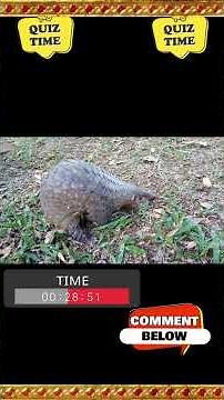 Discover the Fascinating World of Pangolins 🦔🌍 | Amazing Facts & Insights!