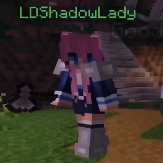 LDSHADOWLADY: Scuffed Outro Hilarity in Minecraft Edits