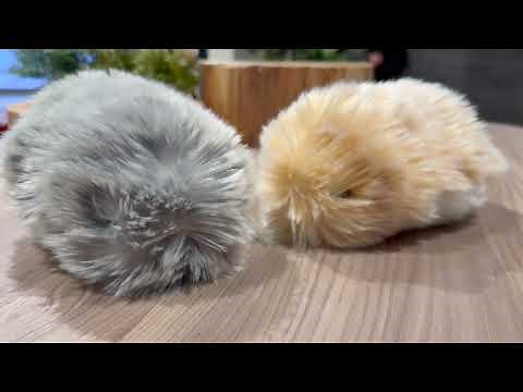 カシオ計算機：AIペットロボット「Moflin モフリン 」