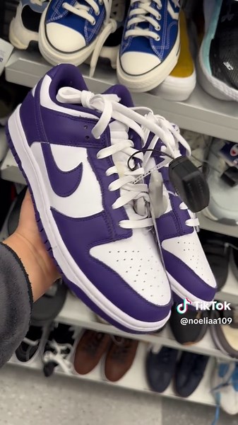 Nike Dunks for Men Available at Ross Store