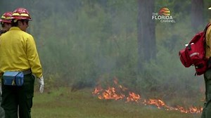 Capitol Update Extended - Wildland Firefighter Training - The Florida Channel