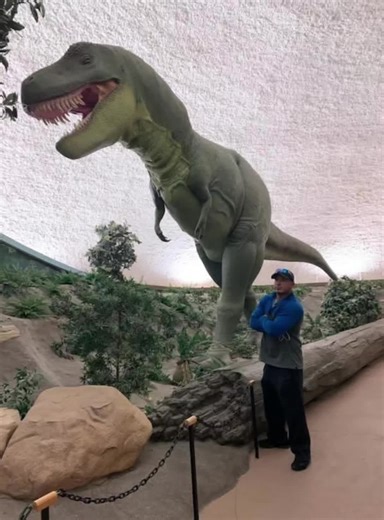 ay yo, what kind of museum is this? #dinosaur #dinosourmuseum #funny #funnyvideos #funnymoments