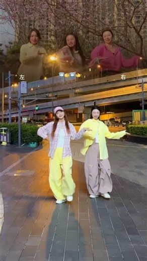 Blossom Bonanza: Peaches, Pears, and Sprouting Grass