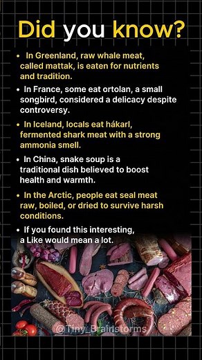 Unusual Meats Eaten Around The World