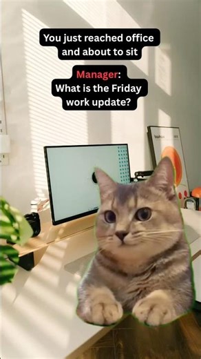 You Sit Down at Work, Manager Attacks: Friday Update Cat Struggle 😂🐾#viralshorts #mondaymood