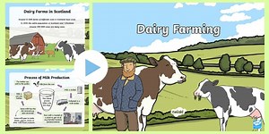 Dairy Farming PowerPoint