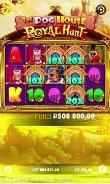 ЭПИЧНЫЙ БОНУС В THE DOG HOUSE ROYAL HUNT #bigwin #slot #заноснедели #slotmachine