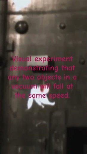 Visual experiment demonstrating that any two objects in a vacuum will fall at the same speed.