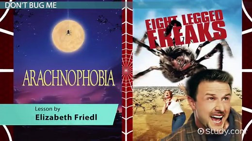 Spider | Characteristics, Types & Facts