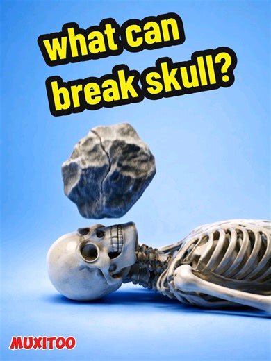 What Can Break a Skull? Exploring Shocking Experiments