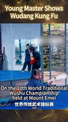 7 y/o little master shows Wudang wushu | Amazing Chinese #shorts