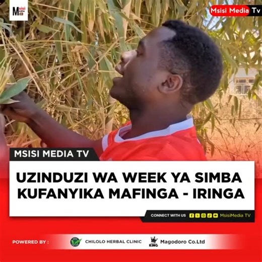 Uzinduzi wa week ya simba 2025 kufanyika jumamosi hii katika mji wa mafinga mkoani iringa. Kongole nyingi ziwaendee @simba_mafinga 🙌🙌 | Msisi