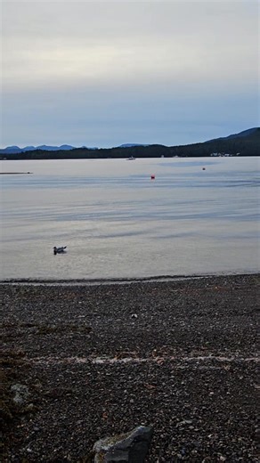 Troy A R Wilson on Reels