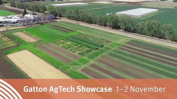 1.3K views · 48 reactions | Two more sleeps until our Gatton Smart...