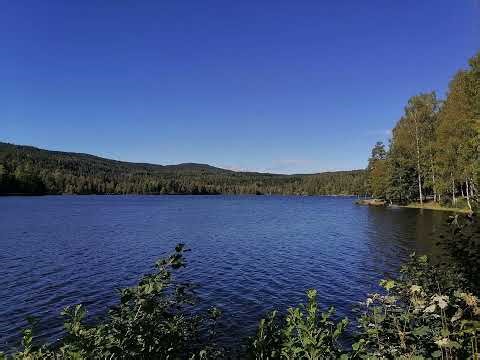 靠主膀臂（Leaning on the Everlasting Arms) 女声独唱生命圣诗424