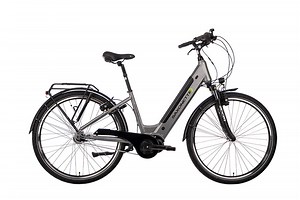 SAXONETTE Premium Plus 2.1 WAVE Tiefeneinsteiger mit Mittelmotor silber matt - SFM Shop