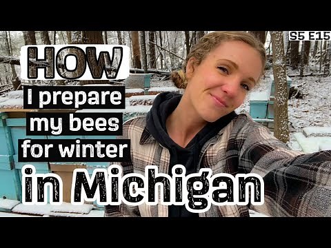 Overwintering Bees In Cold Climates ❄️ | Beekeeping 101 #beekeeping
